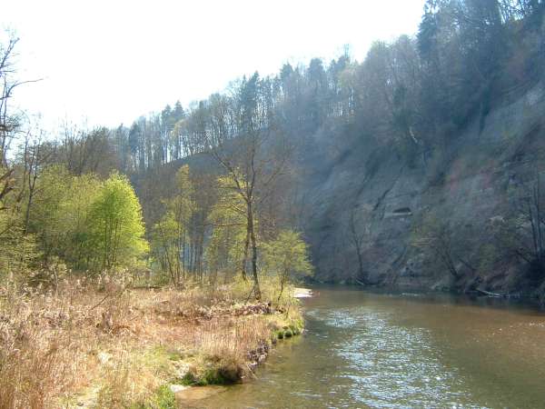 f2007_0409_144040aa.jpg