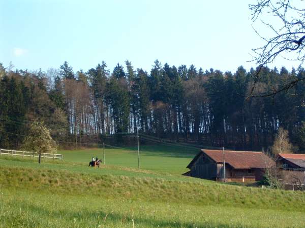 f2007_0409_172344aa.jpg
