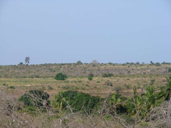 f2007_0226_064830aa.jpg