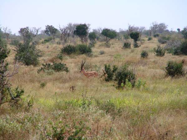 f2007_0226_082259aa.jpg