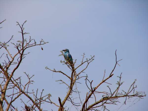 f2007_0226_084626aa.jpg