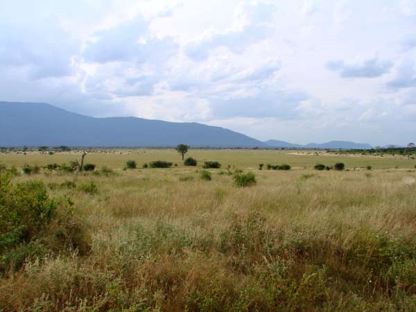 f2007_0226_144738aa.jpg