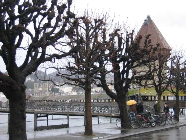 lucerne002.jpg