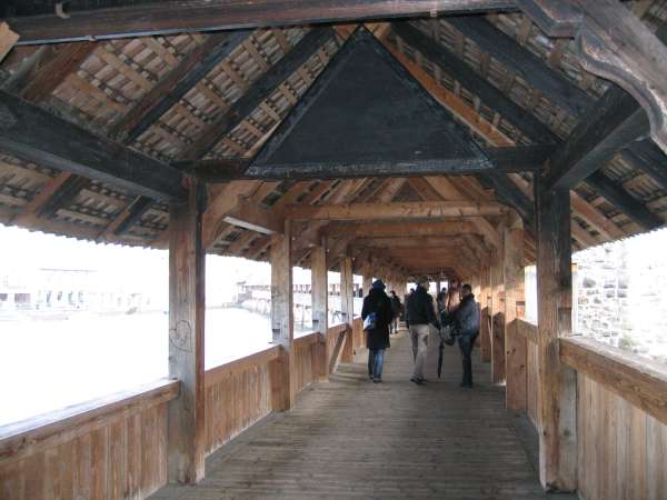 lucerne009.jpg