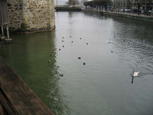 lucerne010.jpg