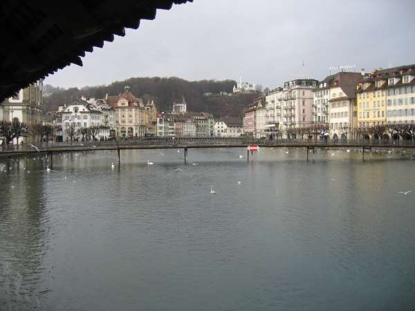 lucerne012.jpg