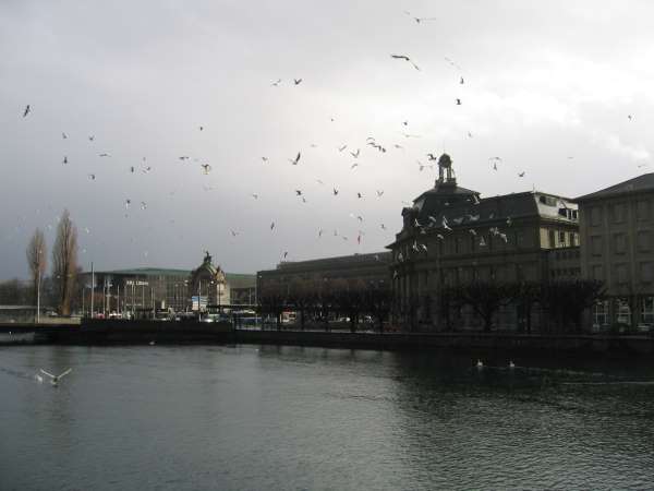 lucerne019.jpg