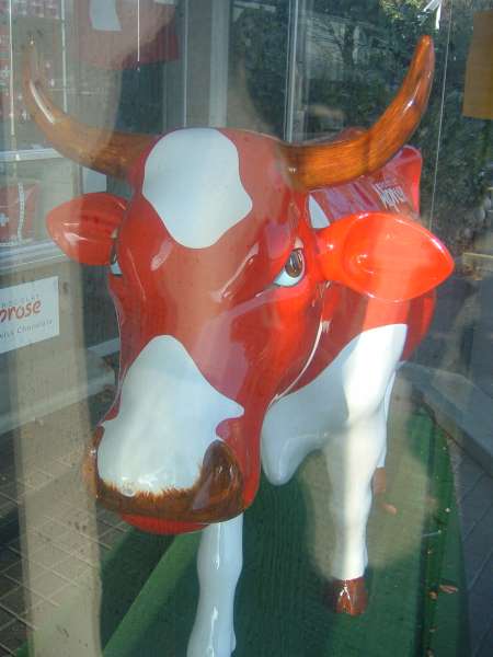 suisse131.jpg
